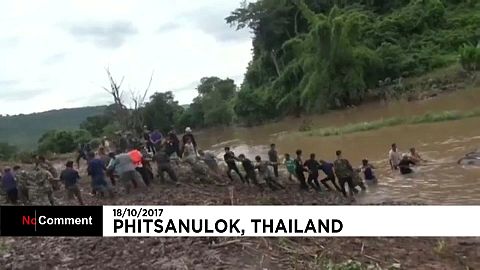 Spektakuläre Elefanten-Rettung in Malaysia