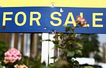 میلیونر ۱۹ ساله آژانس آنلاین املاک را در وقت ناهار مدرسه راه‌اندازی کرد