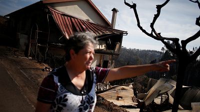 Óriási pusztítást végeztek a portugáliai erdőtüzek