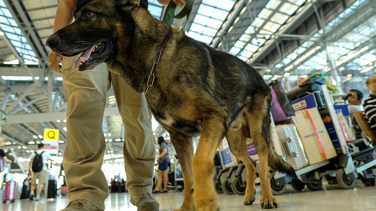 أزمة "الكلاب البوليسية" تشتعل بين تركيا والنمسا
