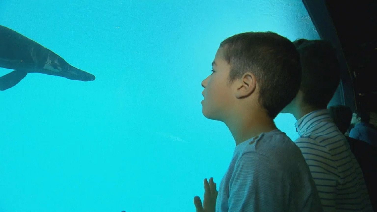 Un aquarium géant ouvre à Lausanne