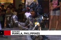 Филиппины: страшные домашние животные