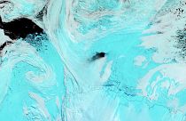 Image: The hole in the sea ice offshore of the Antarctic coast was spotted 