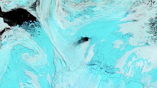 Image: The hole in the sea ice offshore of the Antarctic coast was spotted 
