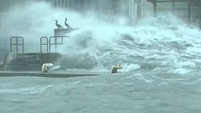Japonya'da tayfun: 4 ölü 130 yaralı