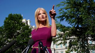 Image: Kellyanne Conway speaks to reporters at the White House in Washingto