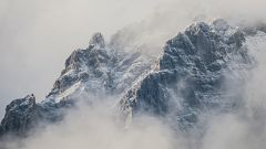 Android in the Alps