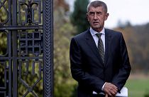 Babis says Czech coalition government must be stable