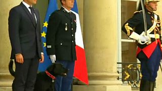 ادرار کردن سگ رییس جمهور فرانسه در کاخ الیزه