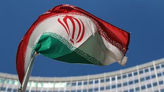 The Iranian flag