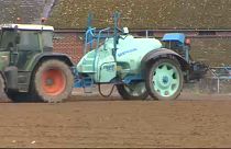 Glifosato poderá ser banido em menos de 10 anos