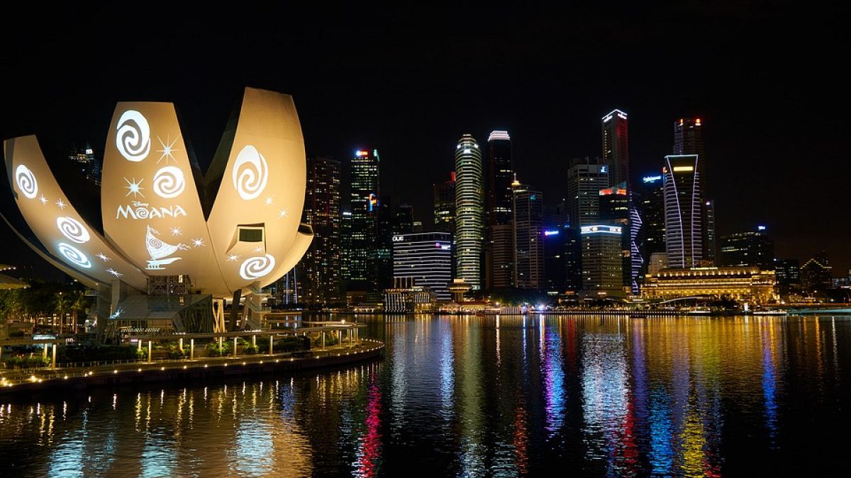 Dünyanın en avantajlı pasaportu Singapur'un
