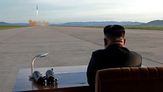 التهكم على الزعيم الكوري خط أحمر في كوريا الشمالية