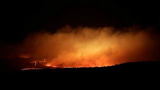 Police in Brazil believe arson may be the cause of wildfire in a national park