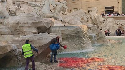 Rome's Trevi Fountain turns red after protester dumps dye into it.