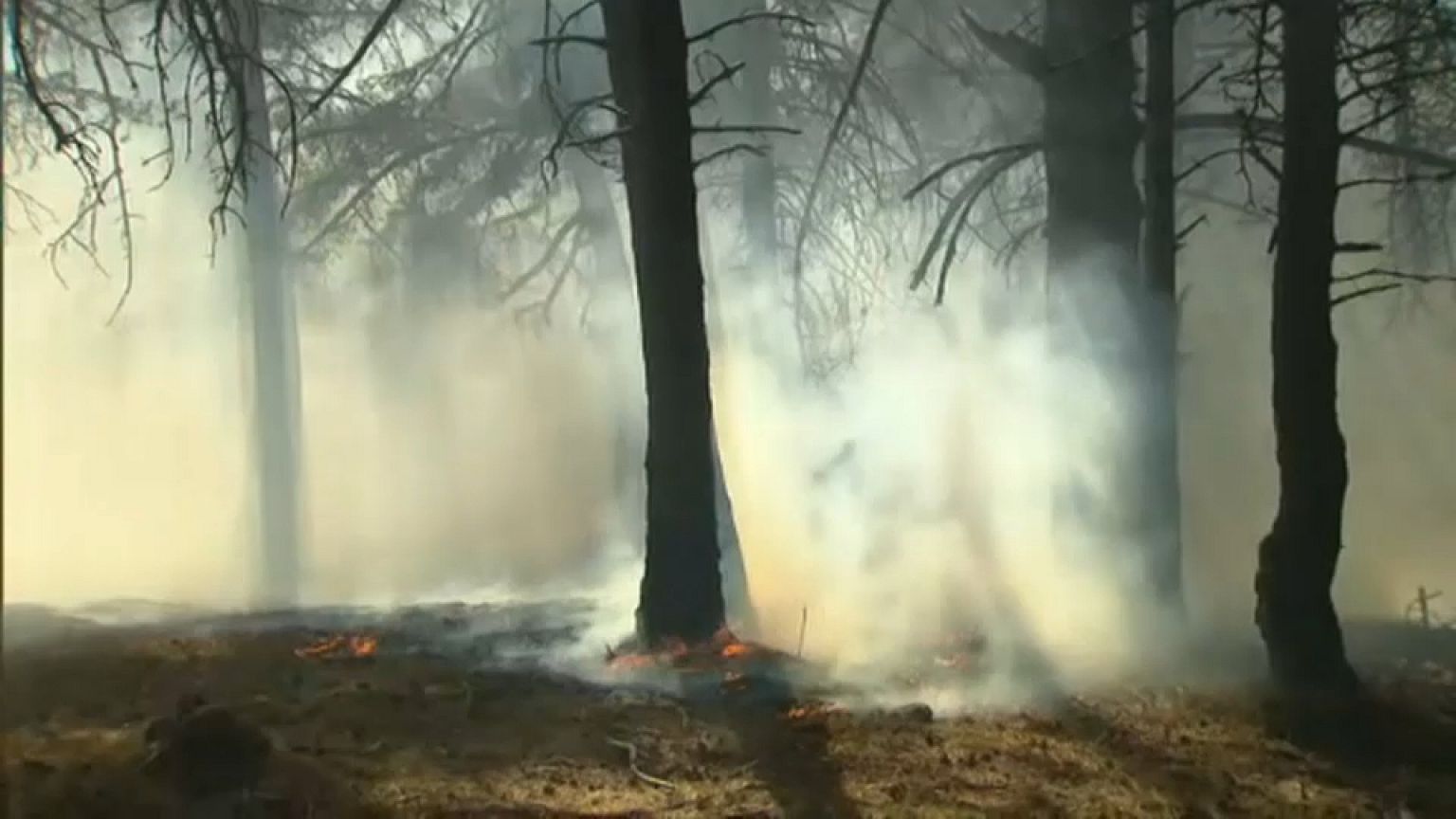 Incendi in Val di Susa, aria irrespirabile fino a Torino