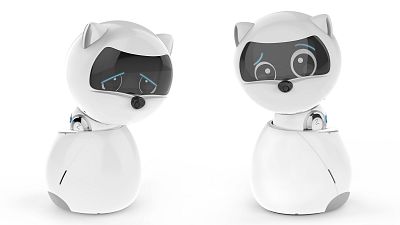 A catlike robot named Kiki can read facial expressions.