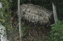 وایاپی؛ قبیله‌ای در اعماق جنگل‌های آمازون، گمشده بین سنت و مدرنیته