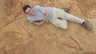 لسوتو؛ کشف ردپای یک دایناسورعظیم الجثه