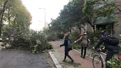 Sturm Herwart: Landunter in Hamburg, viele Bahnstrecken gesperrt