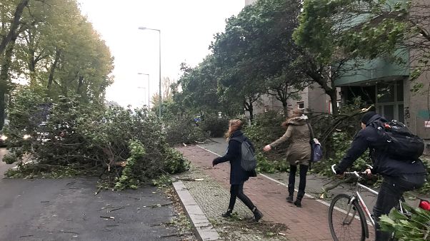 Sturm Herwart: Landunter in Hamburg, viele Bahnstrecken gesperrt Sturm Herwart: Landunter in Hamburg, viele Bahnstrecken gesperrt