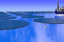 Image: type of solar methanol island facility