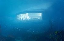 "Under", un restaurante submarino en Noruega