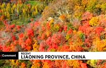 Csodás színekben pompázik a táj Kínában