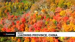 New desktop wallpaper? Autumn colours in China