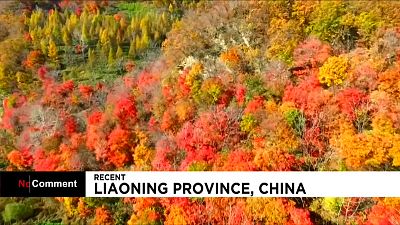 پاییز چین با رنگ‌های خیرکنندۀ طبیعت