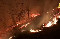 Italy: tackling forest fires