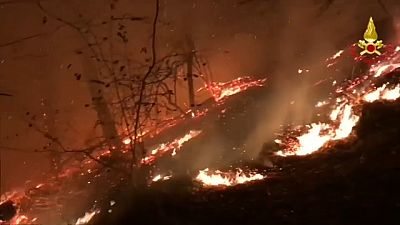 Gli incendi devastano i boschi di Piemonte e Lombardia