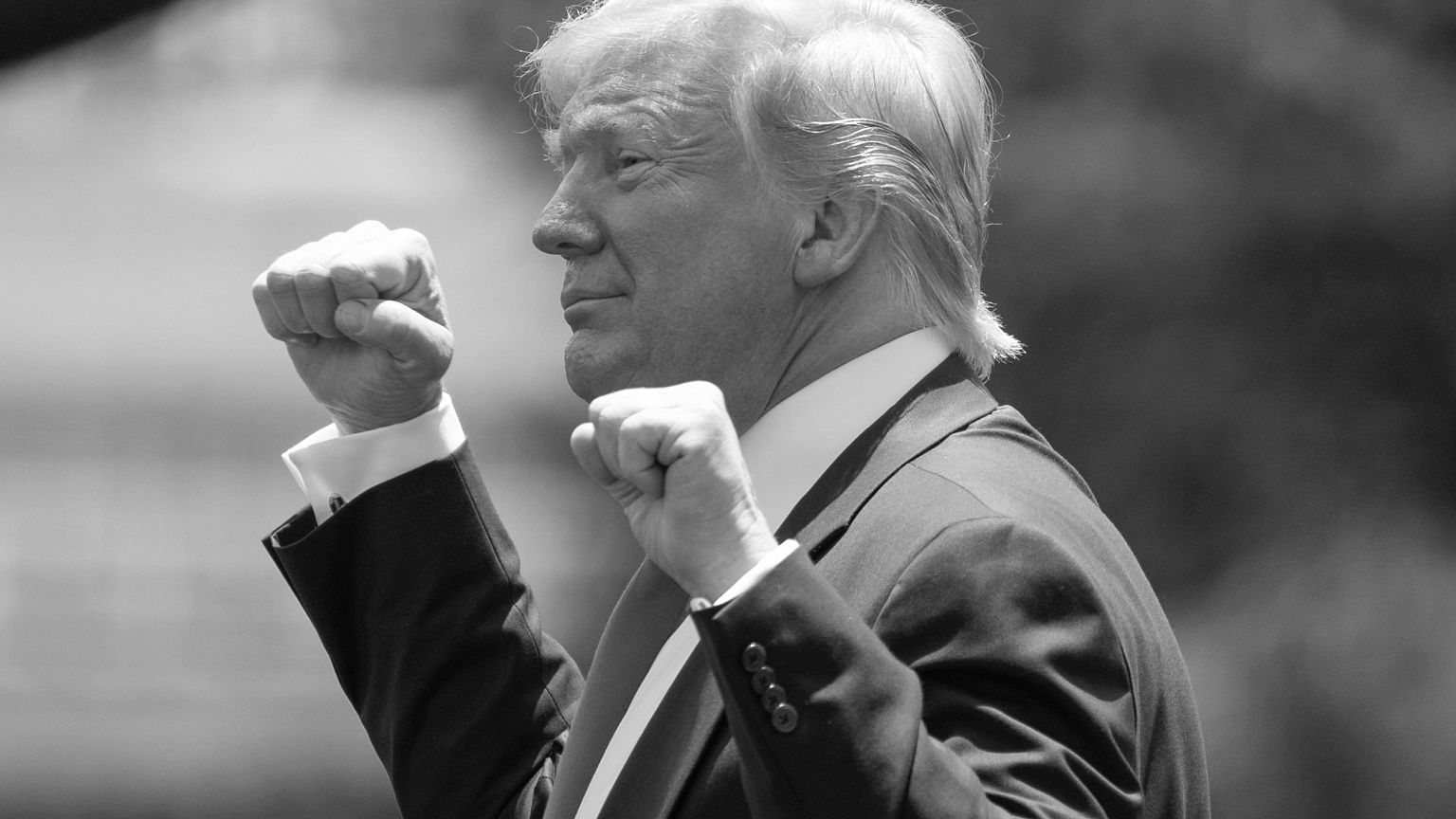 Image: Donald Trump