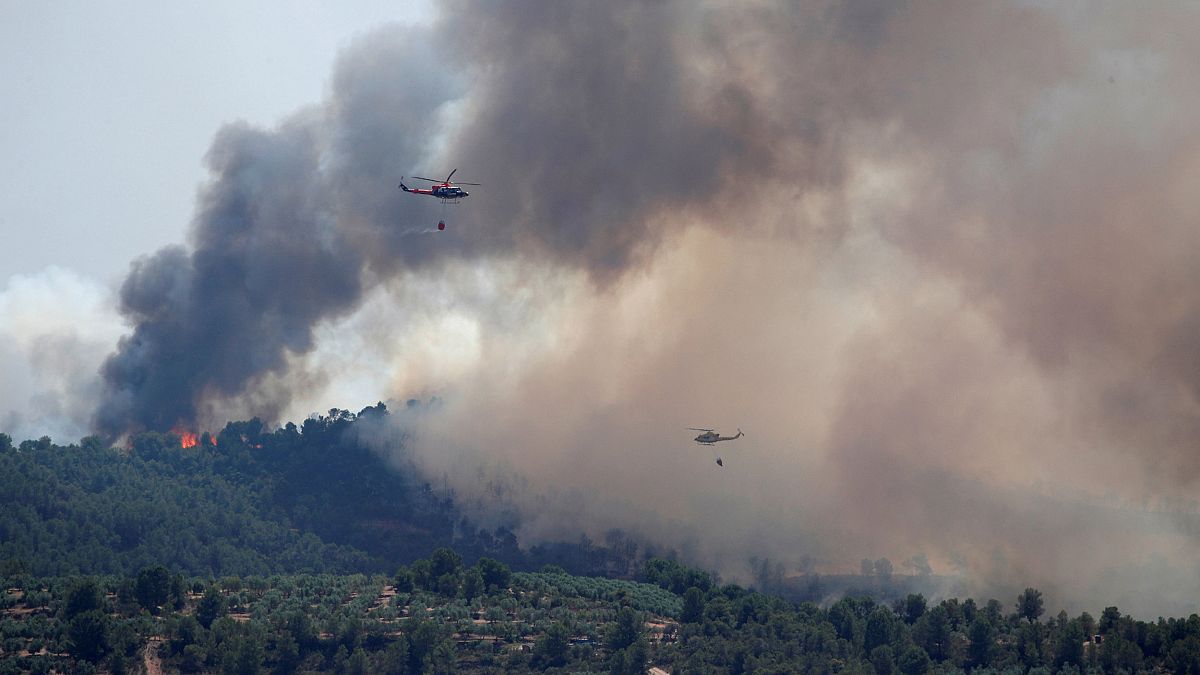Image: Helicopters drop water over a forest fire during a heatwave near Bov