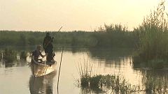 Iraks auferstandenes Paradies