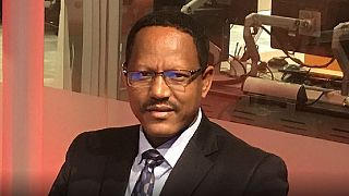 Unemployed youth behind Ethiopia's anti-govt protests - Info Minister