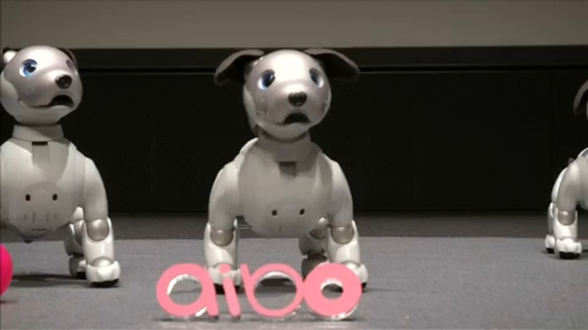 Возвращение робопса: aibo вместо AIBO