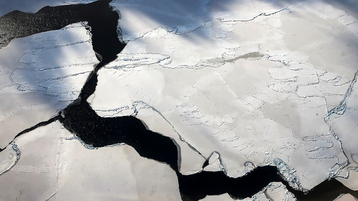 Image: Ice floats near the coast of West Antarctica on Oct. 27, 2016.