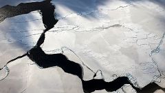 Image: Ice floats near the coast of West Antarctica on Oct. 27, 2016.