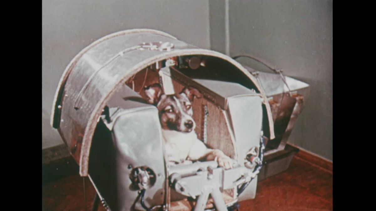60 años del viaje de Laika en el espacio