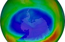Ozone hole shrinks to smallest since 1988