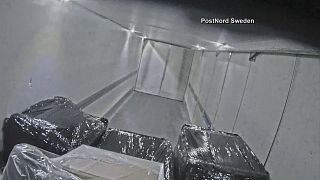 Watch: Gang robs shipping items at high-speed