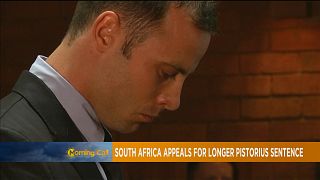 Oscar Pistorius in renewed South African prosecution [The Morning Call]