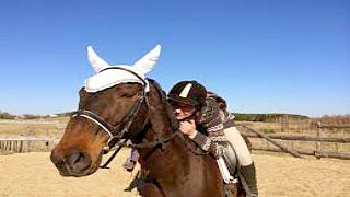 توقيف امرأة بتهمة قيادة حصان تحت تأثير الكحول
