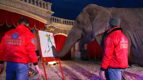 Sandra, l'éléphante artiste Sandra, l'éléphante artiste