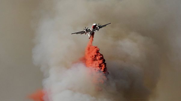 2017 estará entre los 3 años más calurosos desde que hay registros, según la OMM 2017 estará entre los 3 años más calurosos desde que hay registros, según la OMM