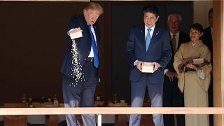 Trump dumps full box of fish food into Japanese koi pond