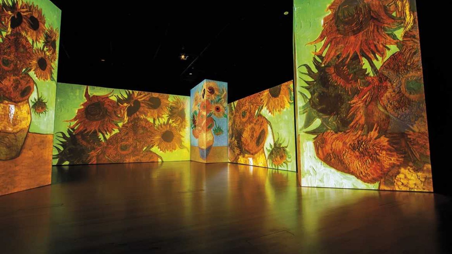 Un Van Gogh inmersivo