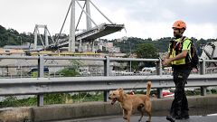 Image: Morandi motorway bridge