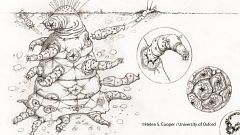 Here's what E.T. could actually look like
